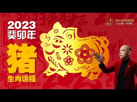 屬豬佩戴2023